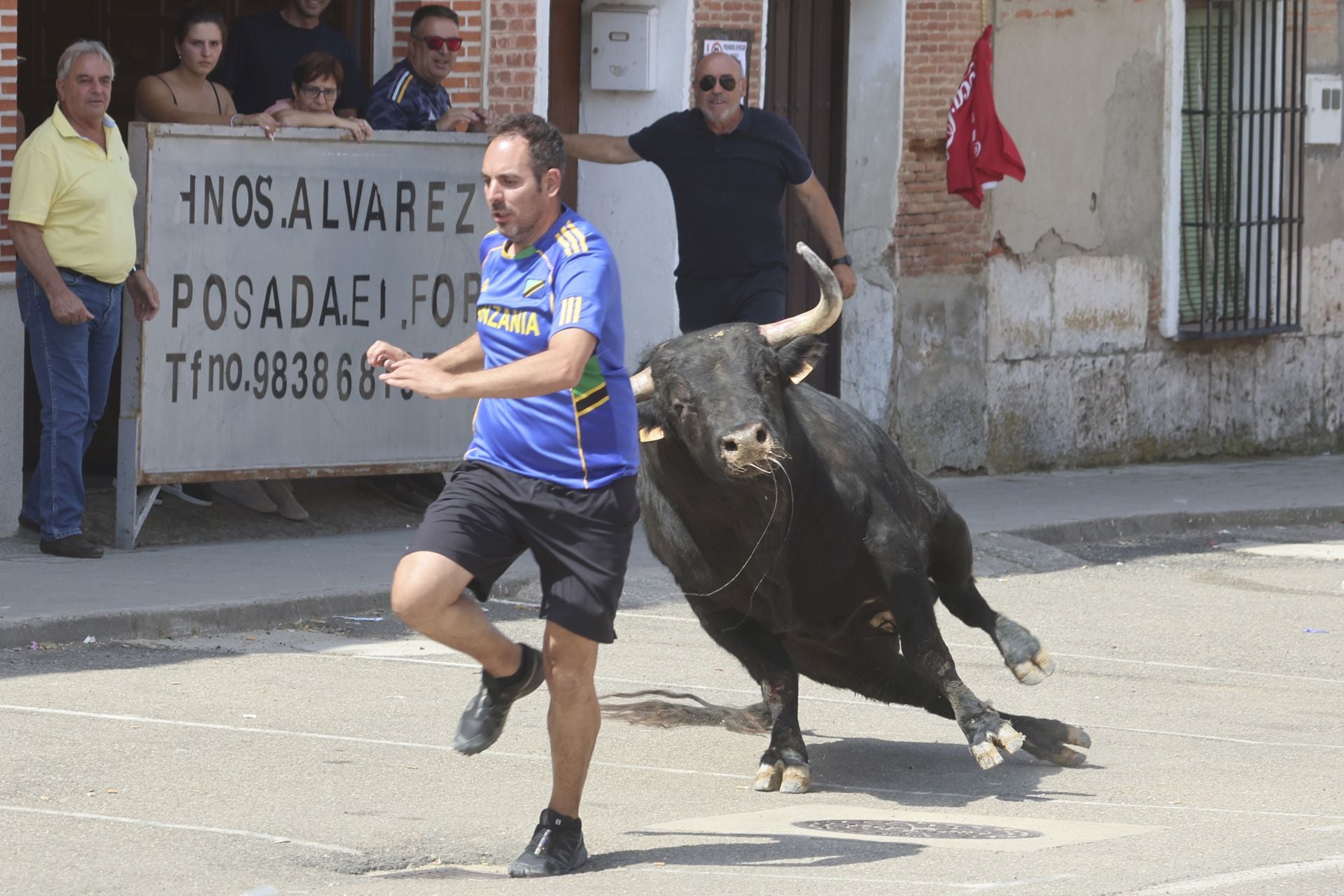 Tercer encierro en las fiestas de Rueda