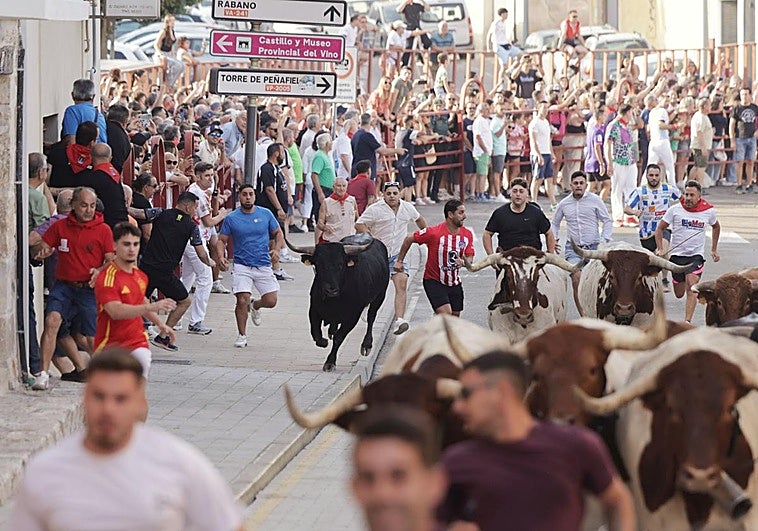 Un momento del encierro en Peñafiel.