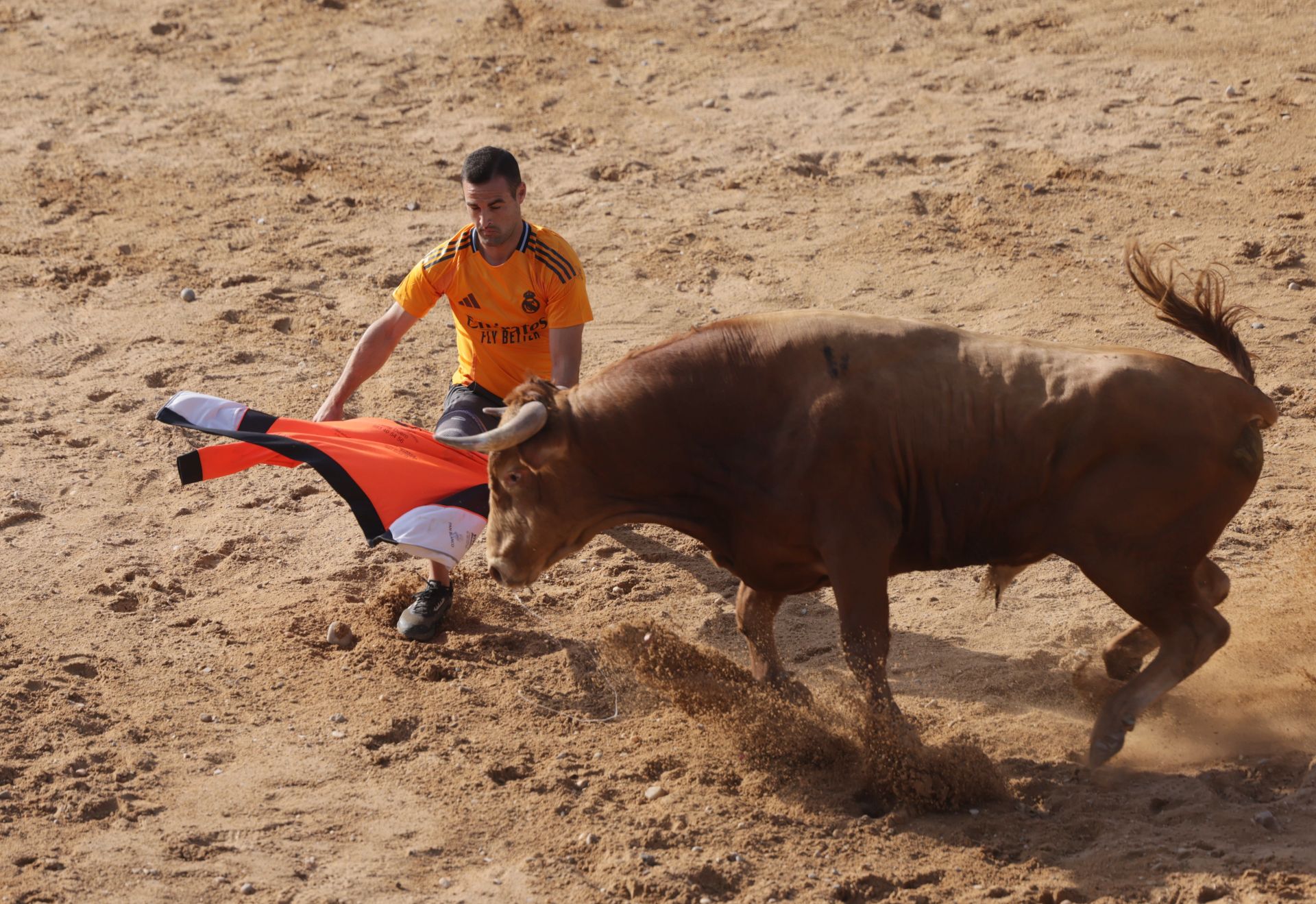 Encierro y capea del sábado en Peñafiel