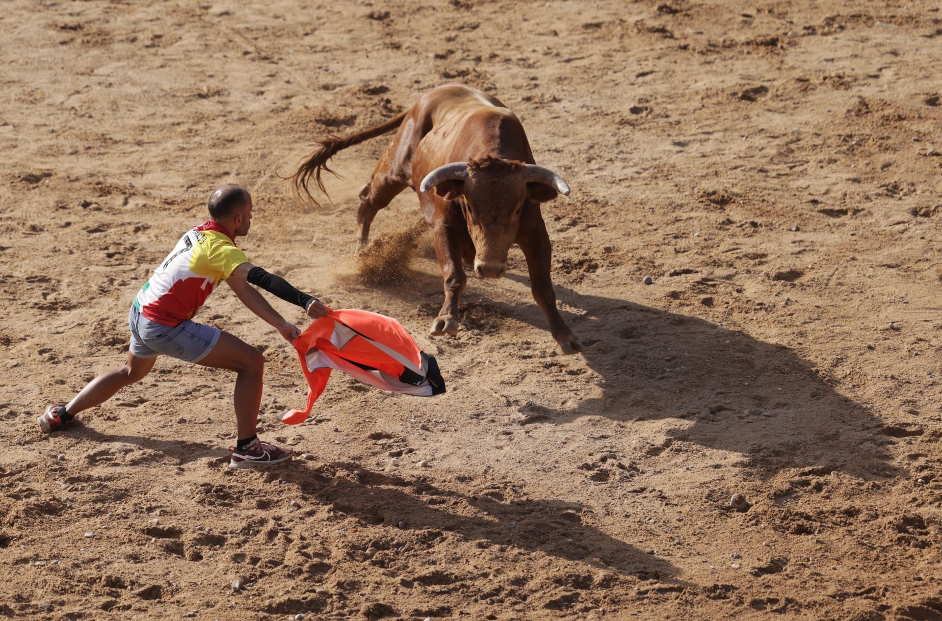 Encierro y capea del sábado en Peñafiel