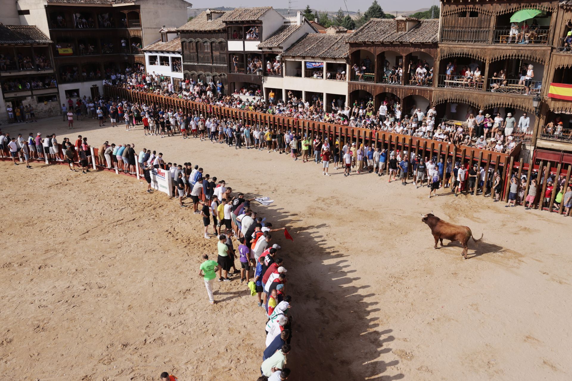 Encierro y capea del sábado en Peñafiel