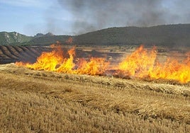 Un incendio anterior, este mismo verano.