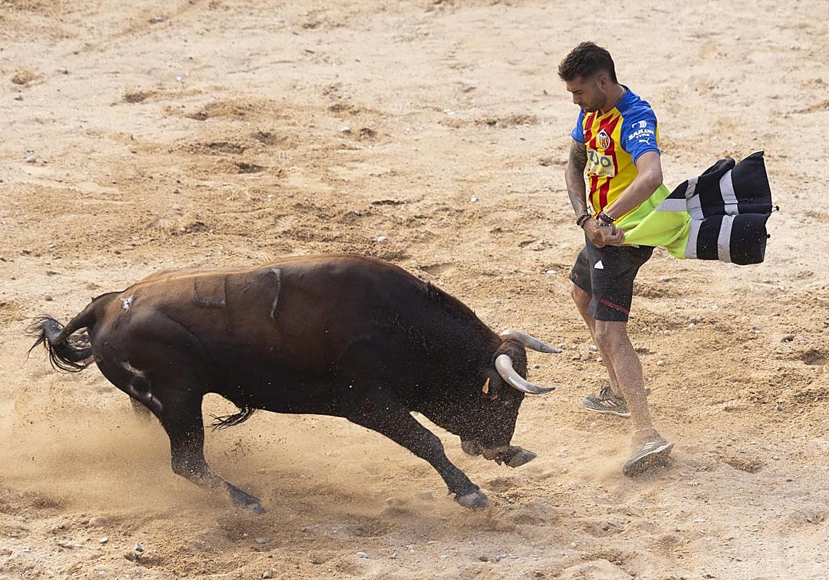 Un cortador de Medina sufre un revolcón durante la capea en Peñafiel