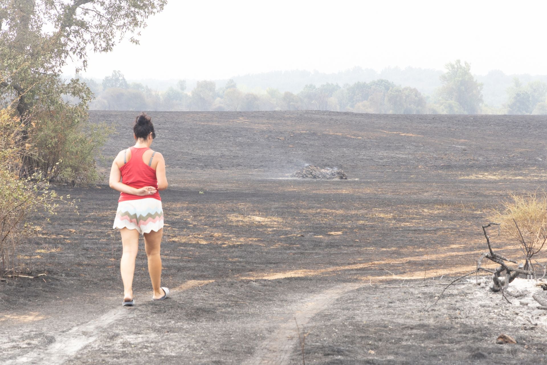 Las imágenes del incendio de Canalejas