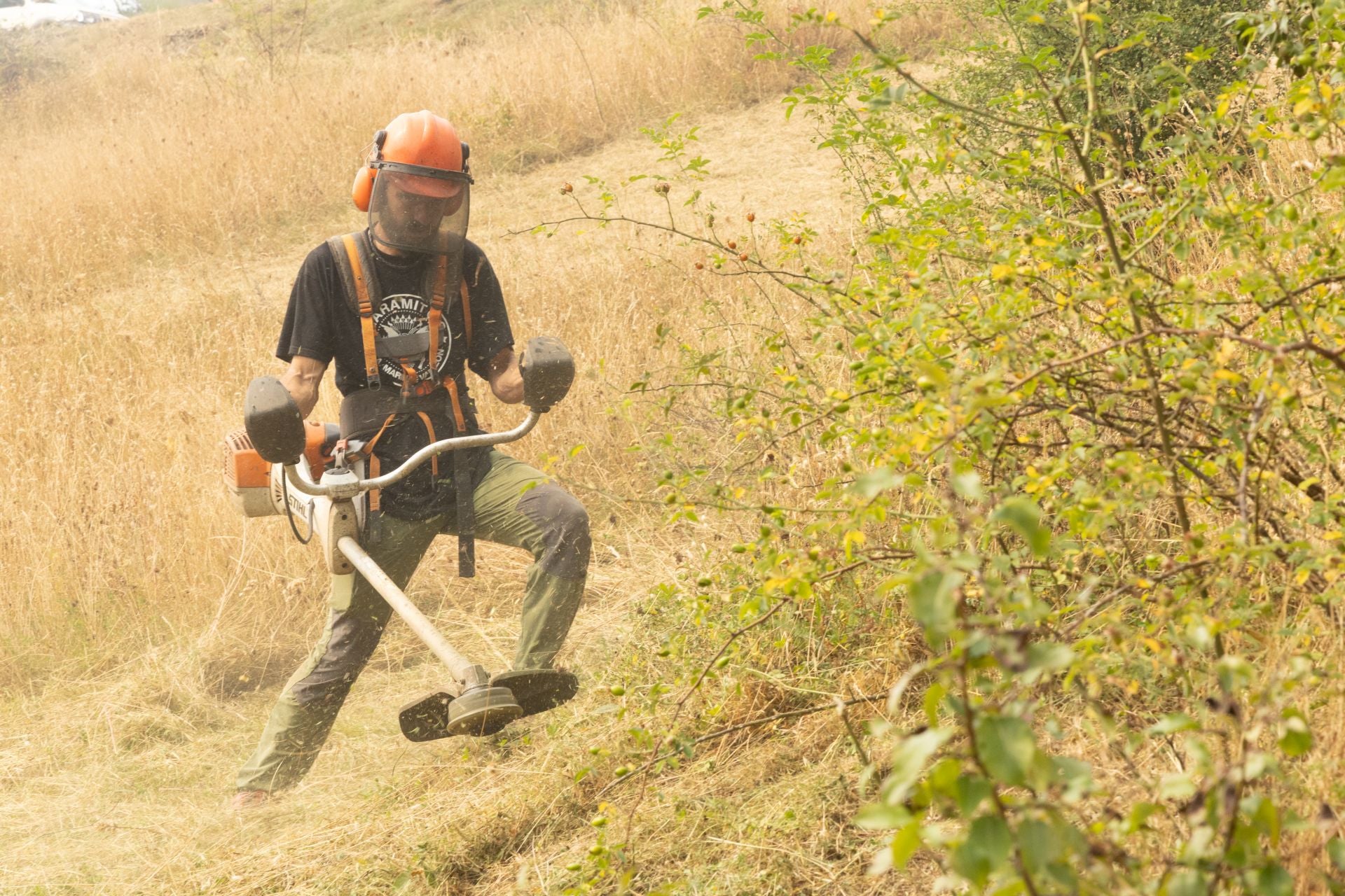Las imágenes del incendio de Canalejas