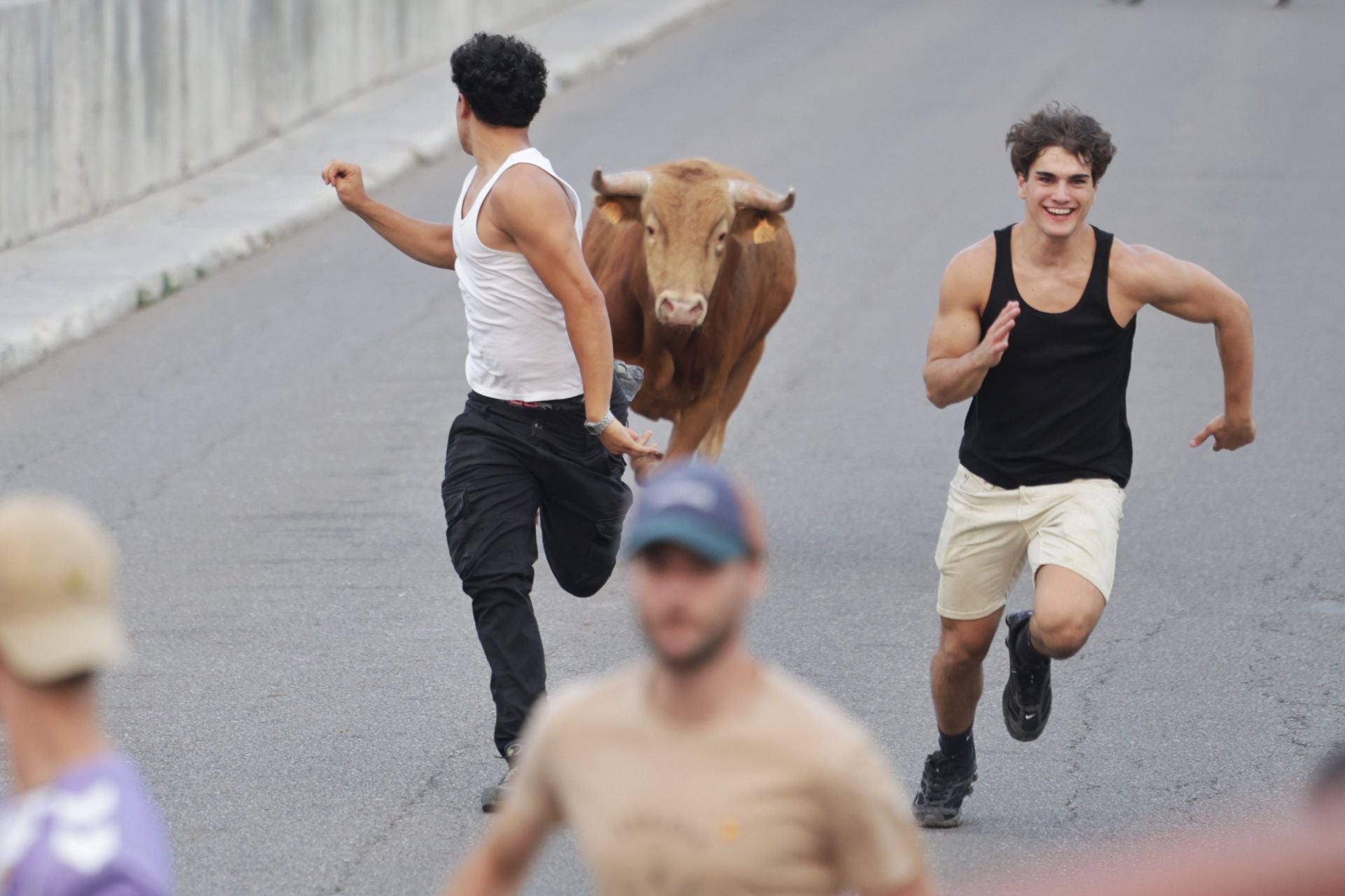 El encierro de Tudela de Duero, en imágenes