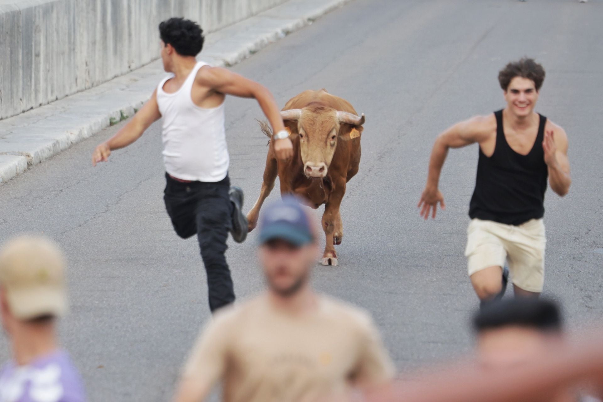 El encierro de Tudela de Duero, en imágenes