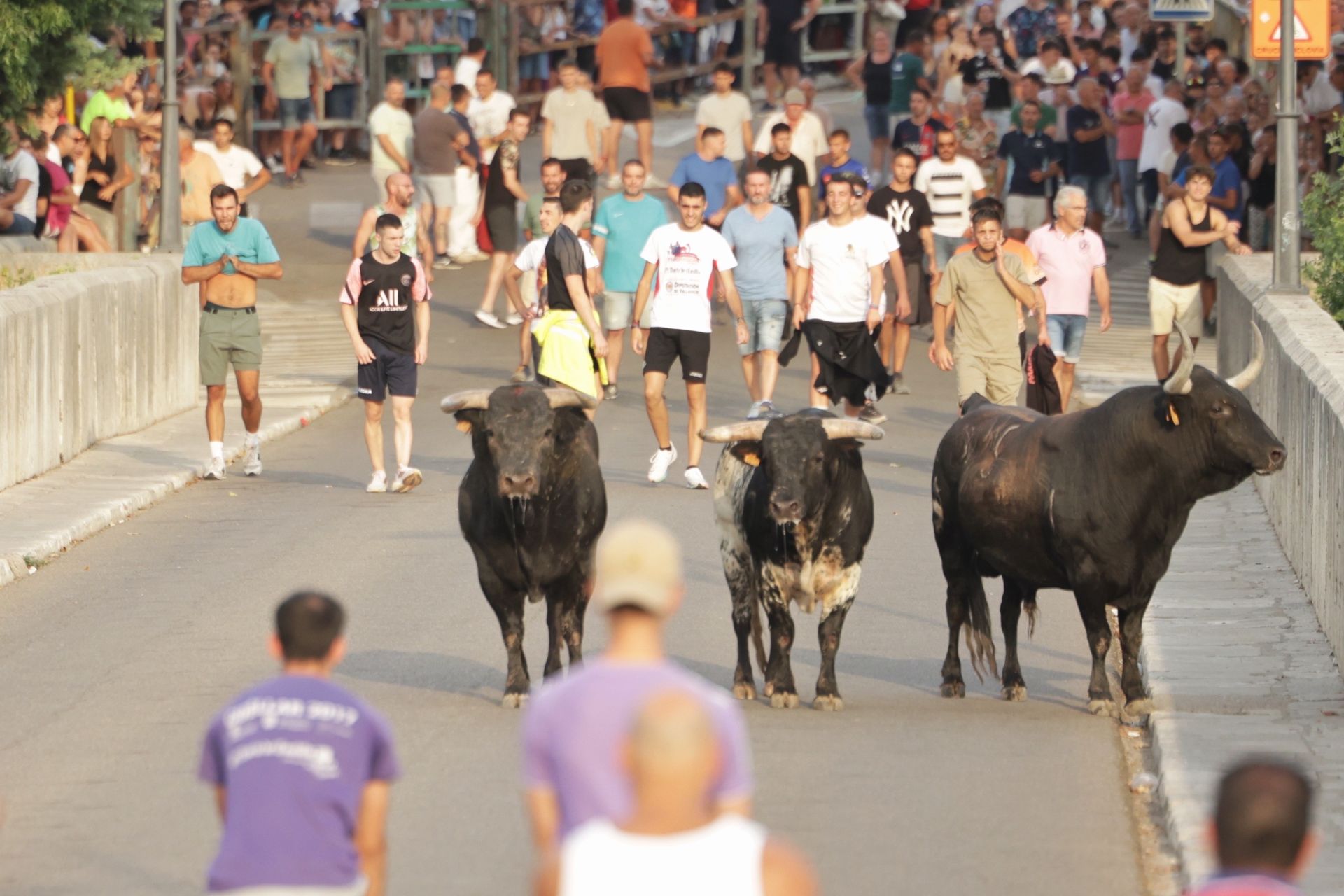 El encierro de Tudela de Duero, en imágenes