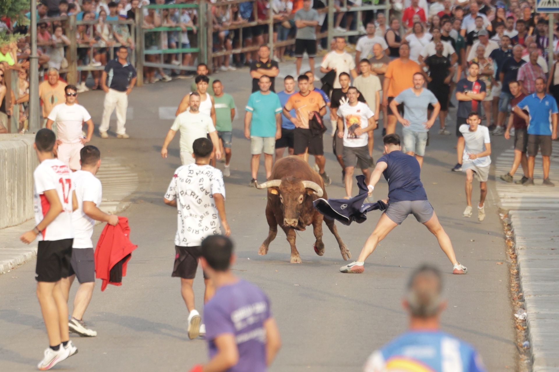 El encierro de Tudela de Duero, en imágenes