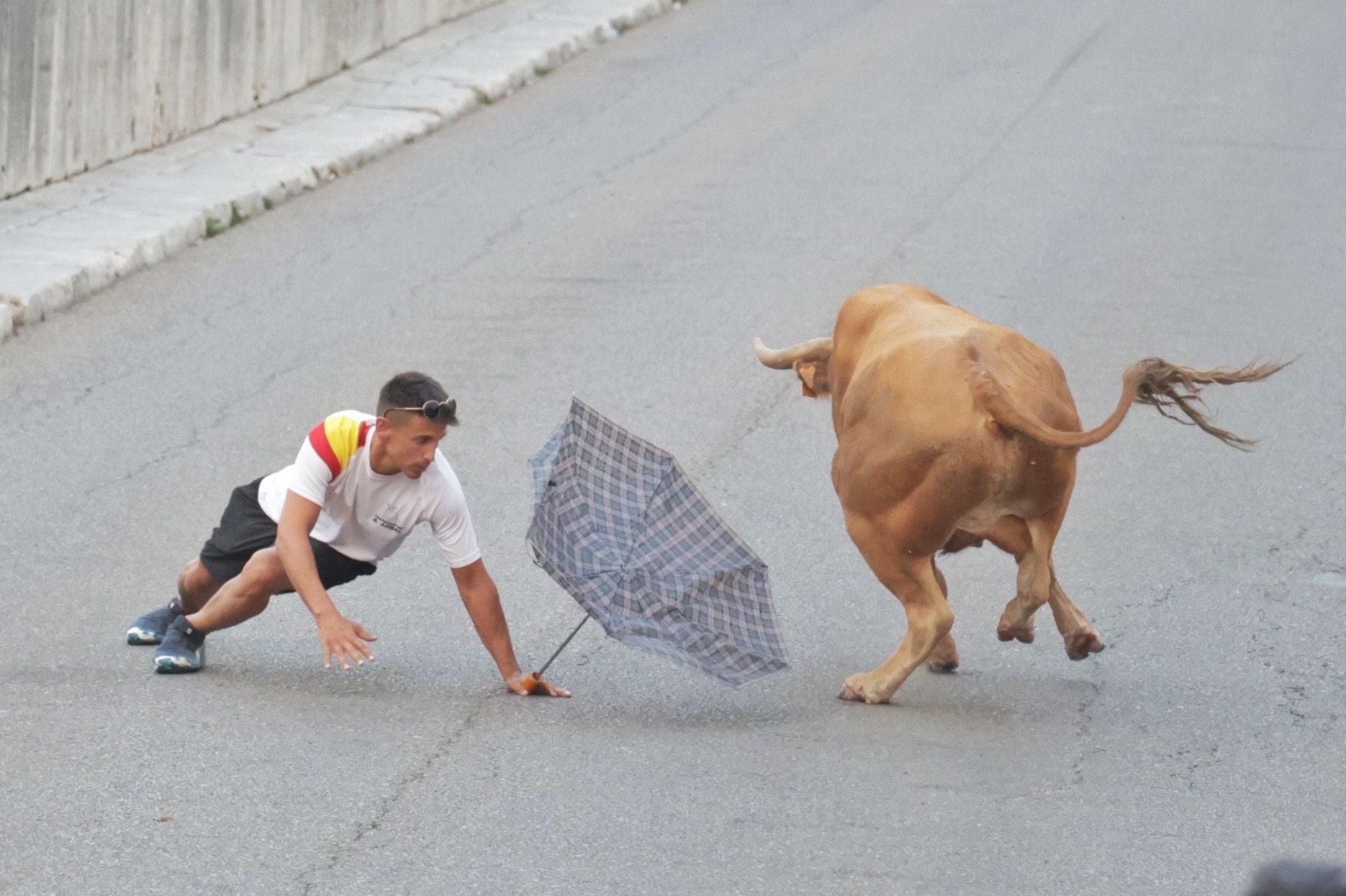El encierro de Tudela de Duero, en imágenes