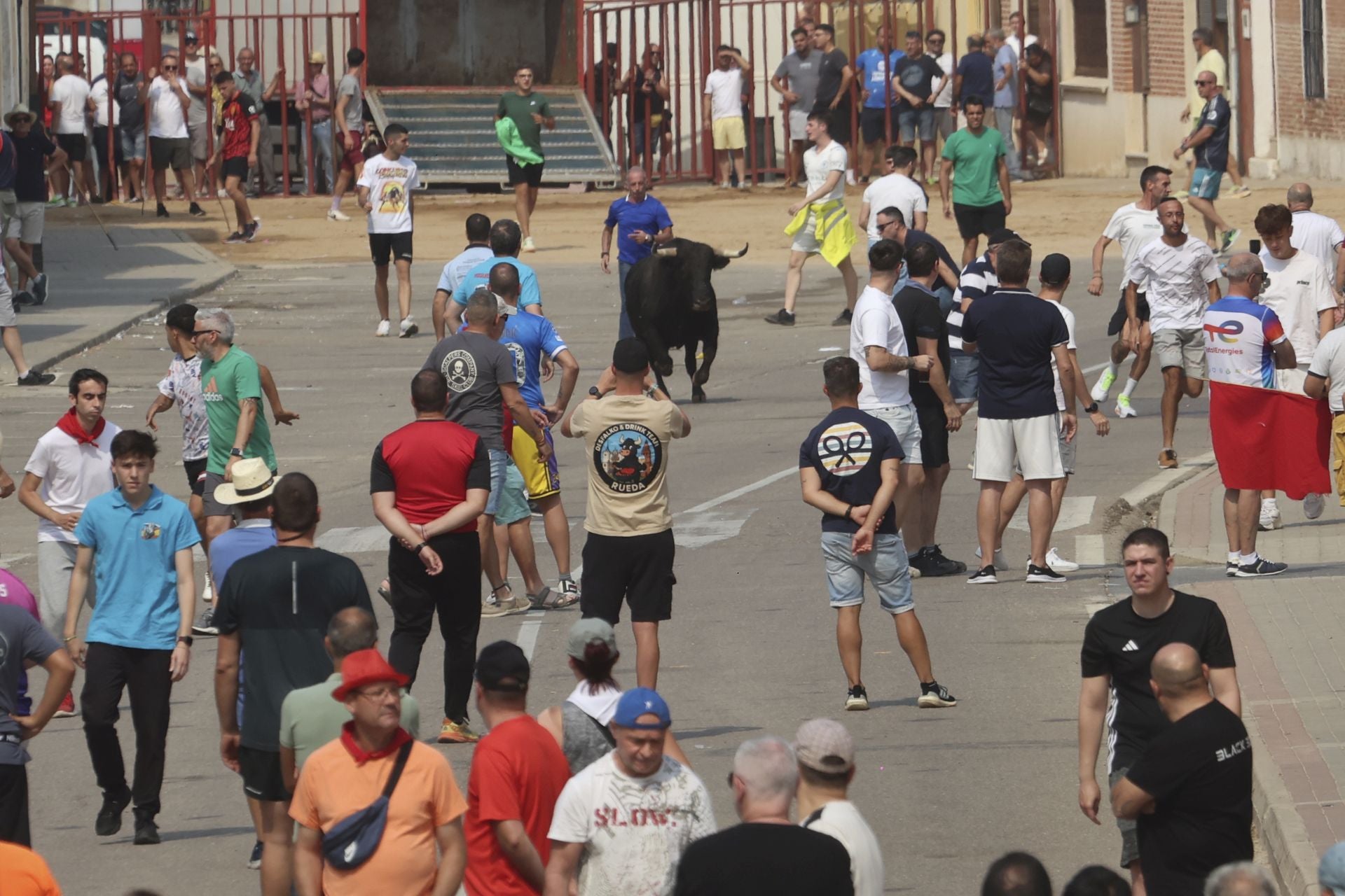Encierro del domingo en las fiestas de Rueda