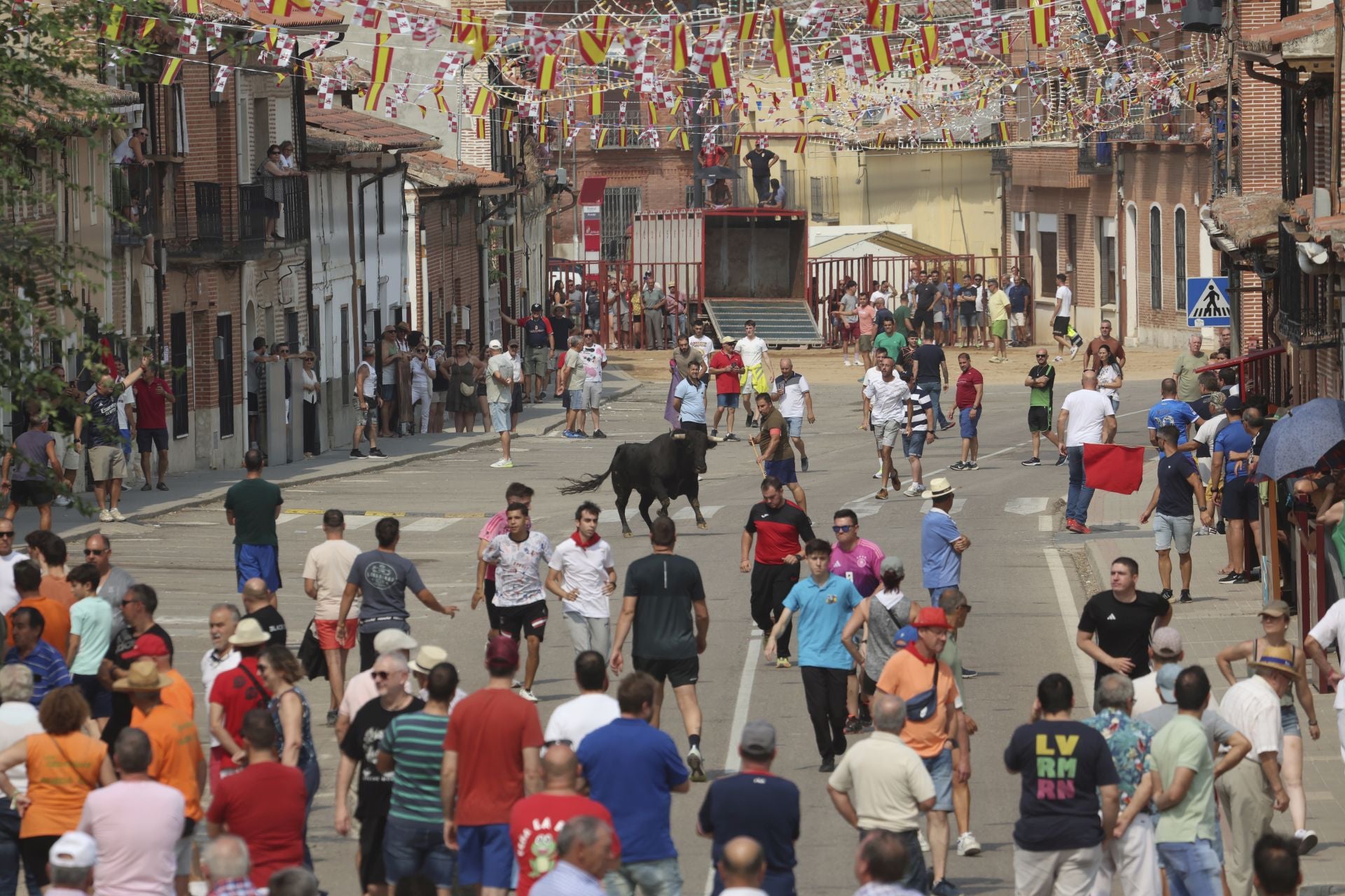 Encierro del domingo en las fiestas de Rueda