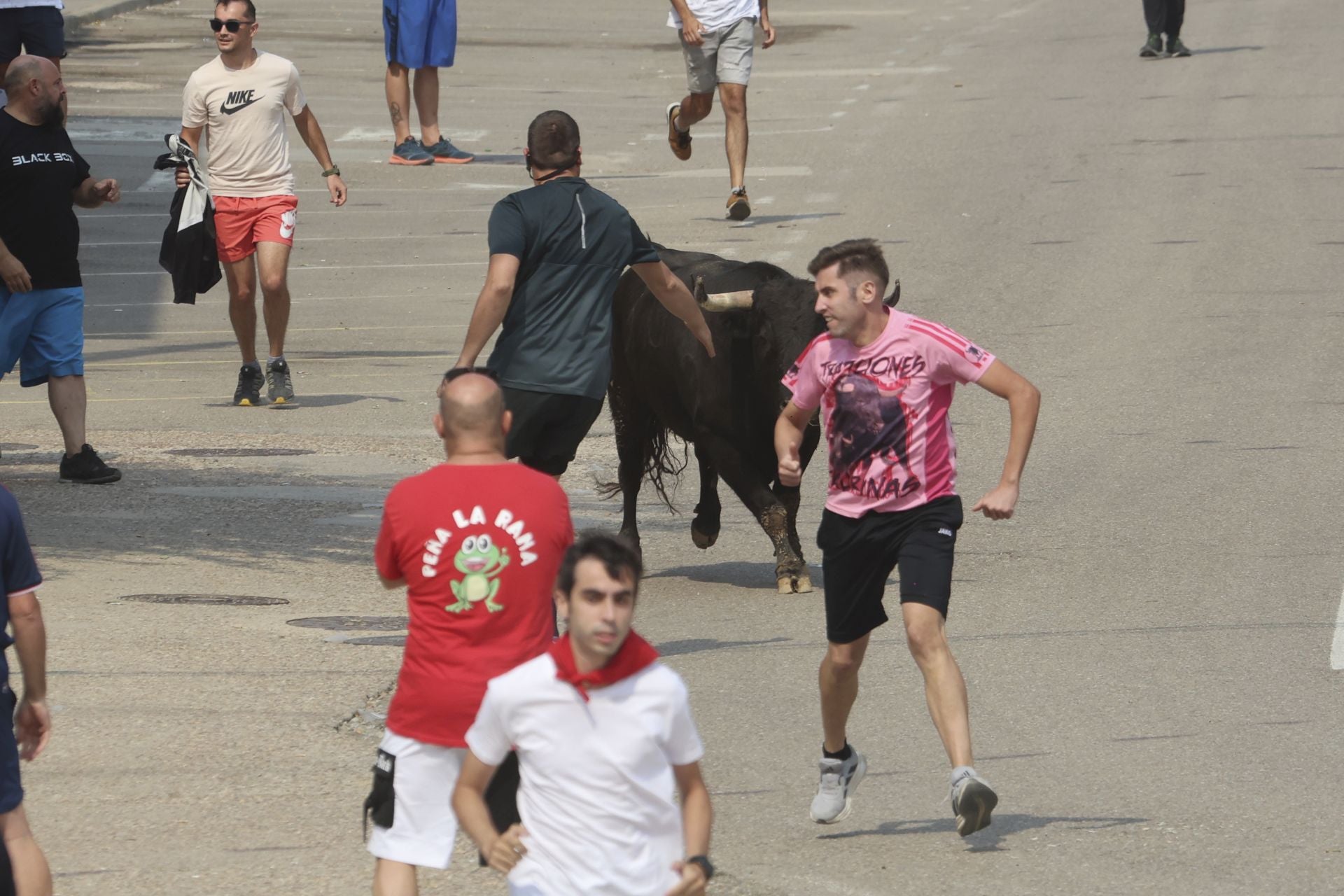 Encierro del domingo en las fiestas de Rueda
