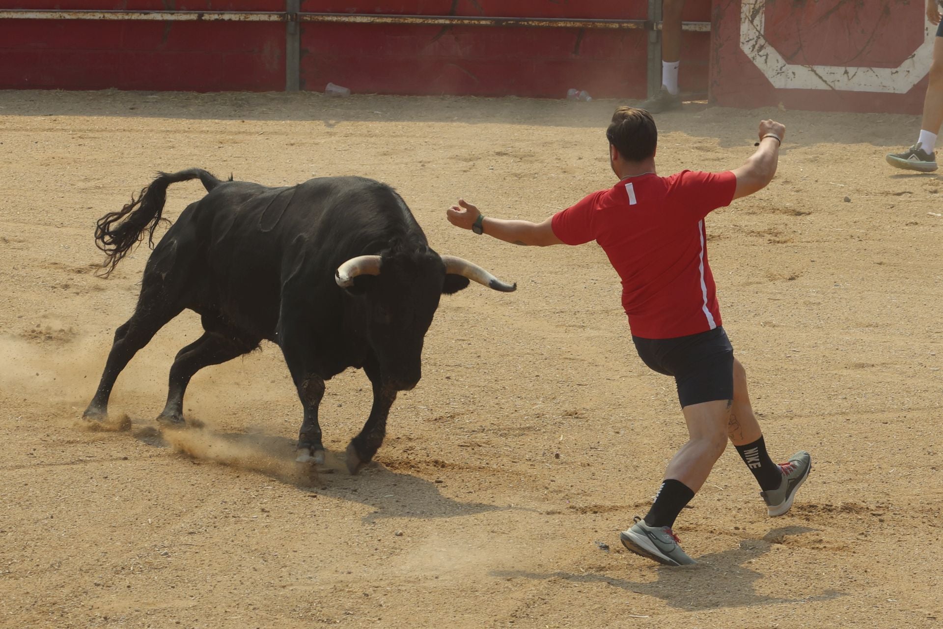 Encierro del domingo en las fiestas de Rueda