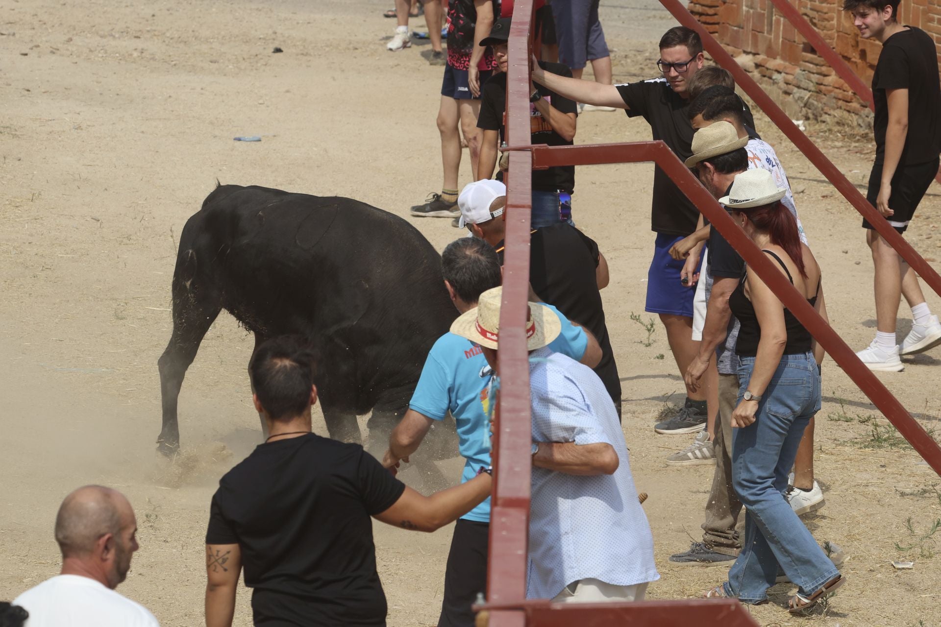 Encierro del domingo en las fiestas de Rueda