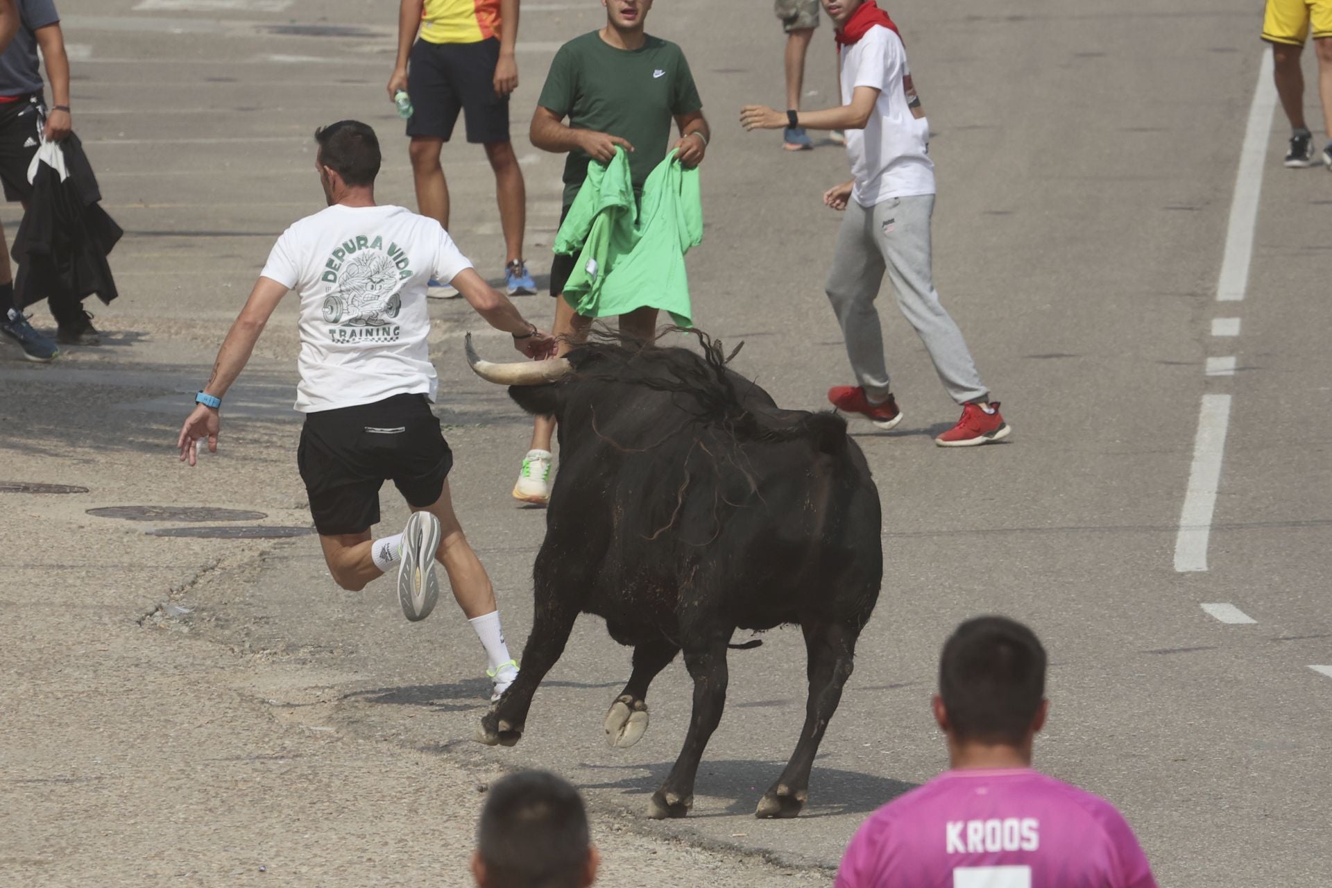 Encierro del domingo en las fiestas de Rueda