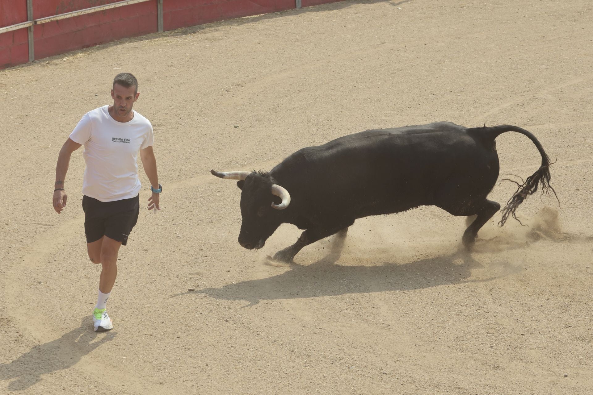 Encierro del domingo en las fiestas de Rueda