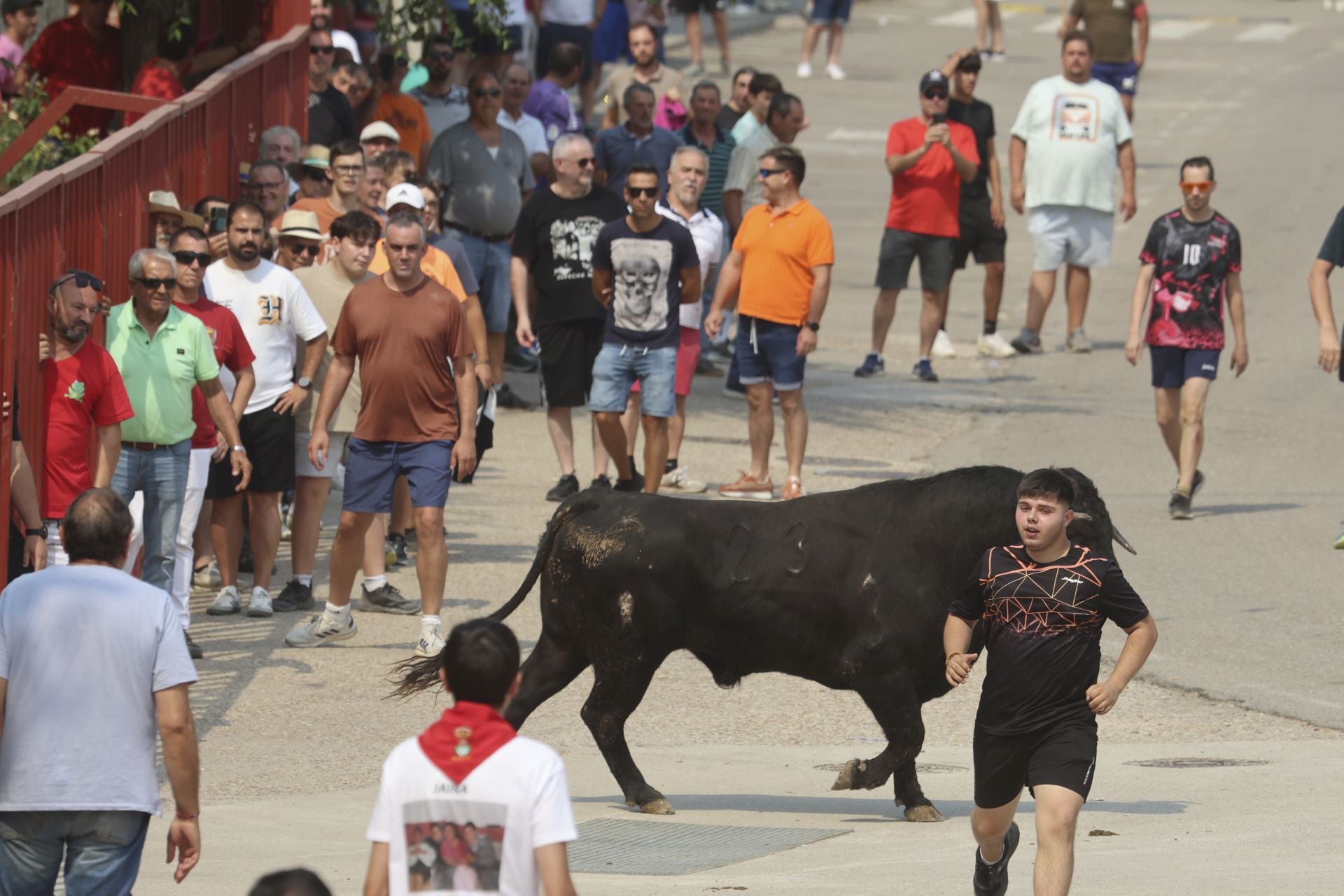Encierro del domingo en las fiestas de Rueda