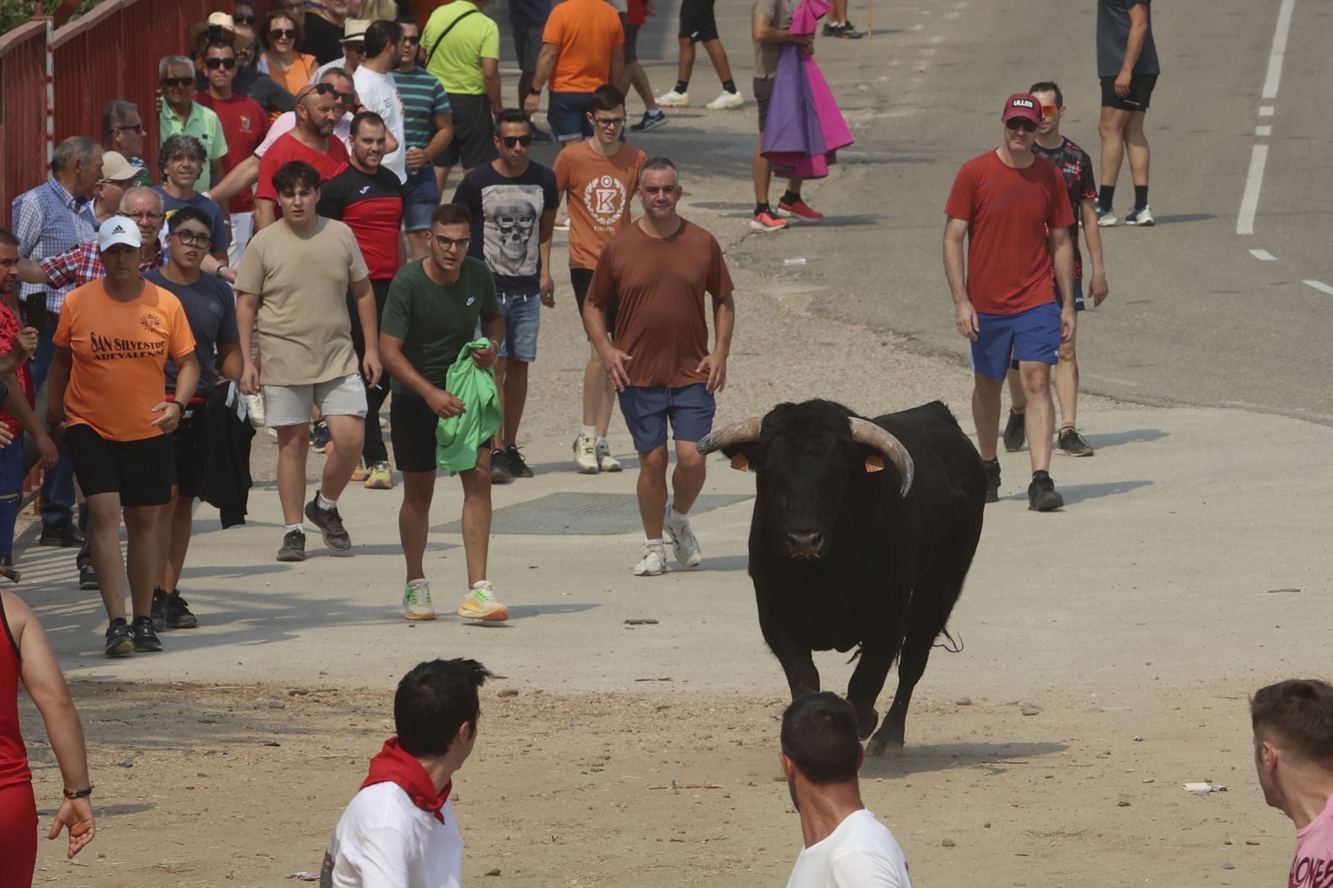 Encierro del domingo en las fiestas de Rueda