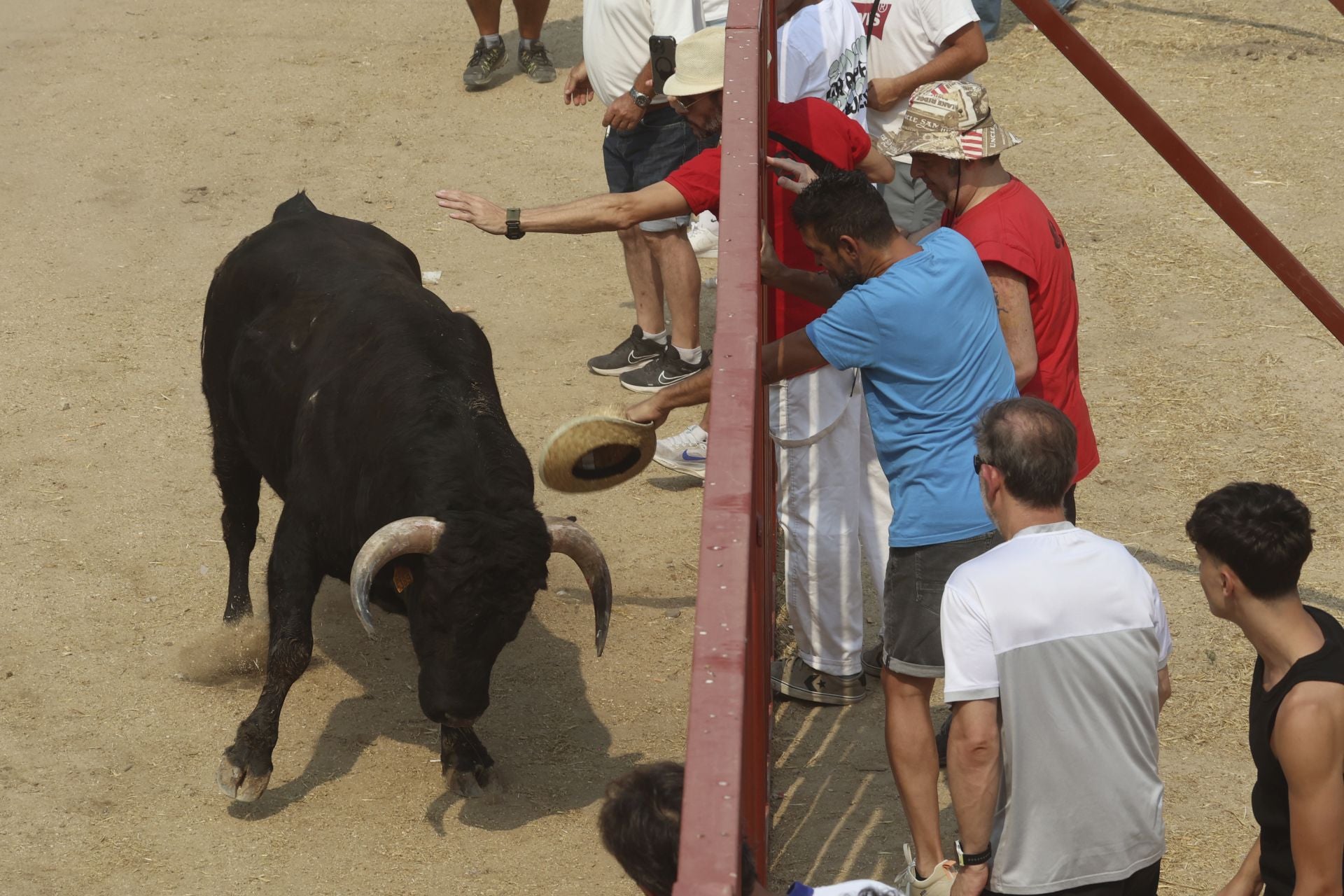 Encierro del domingo en las fiestas de Rueda