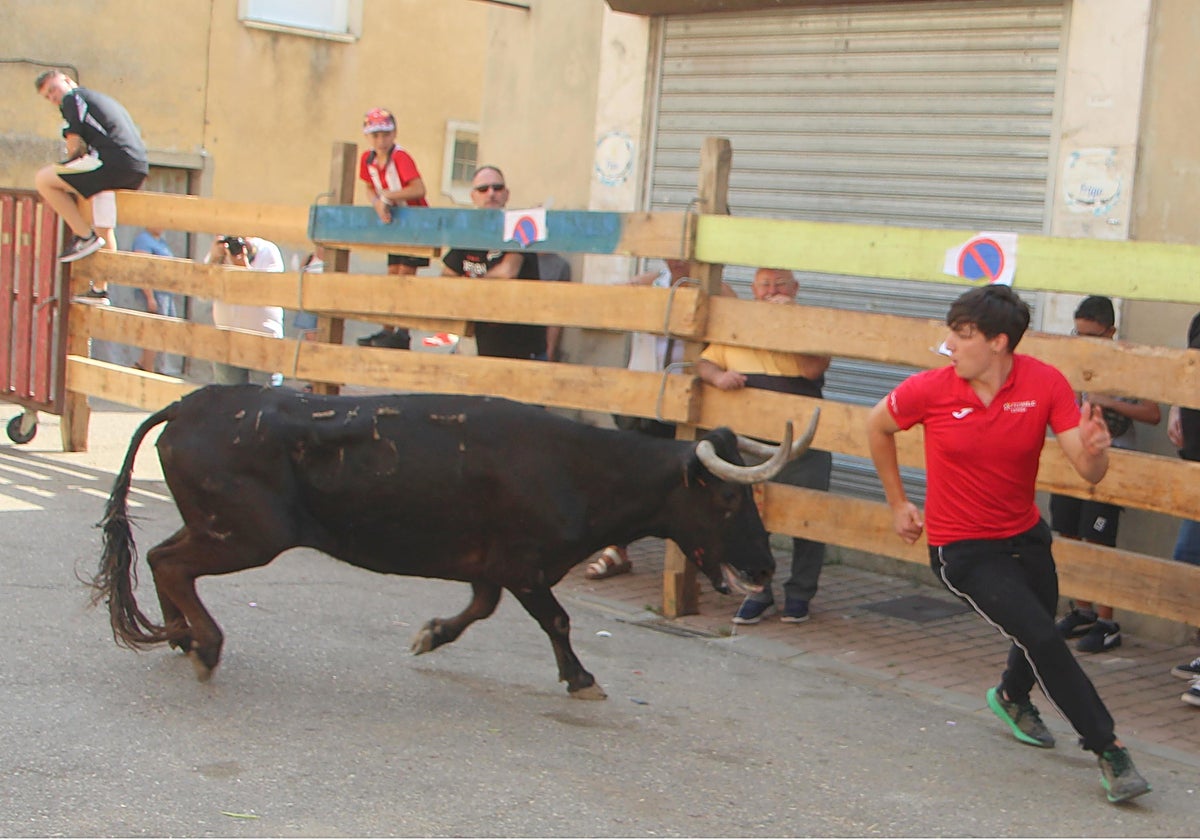 Torquemada disfruta de los Encierros