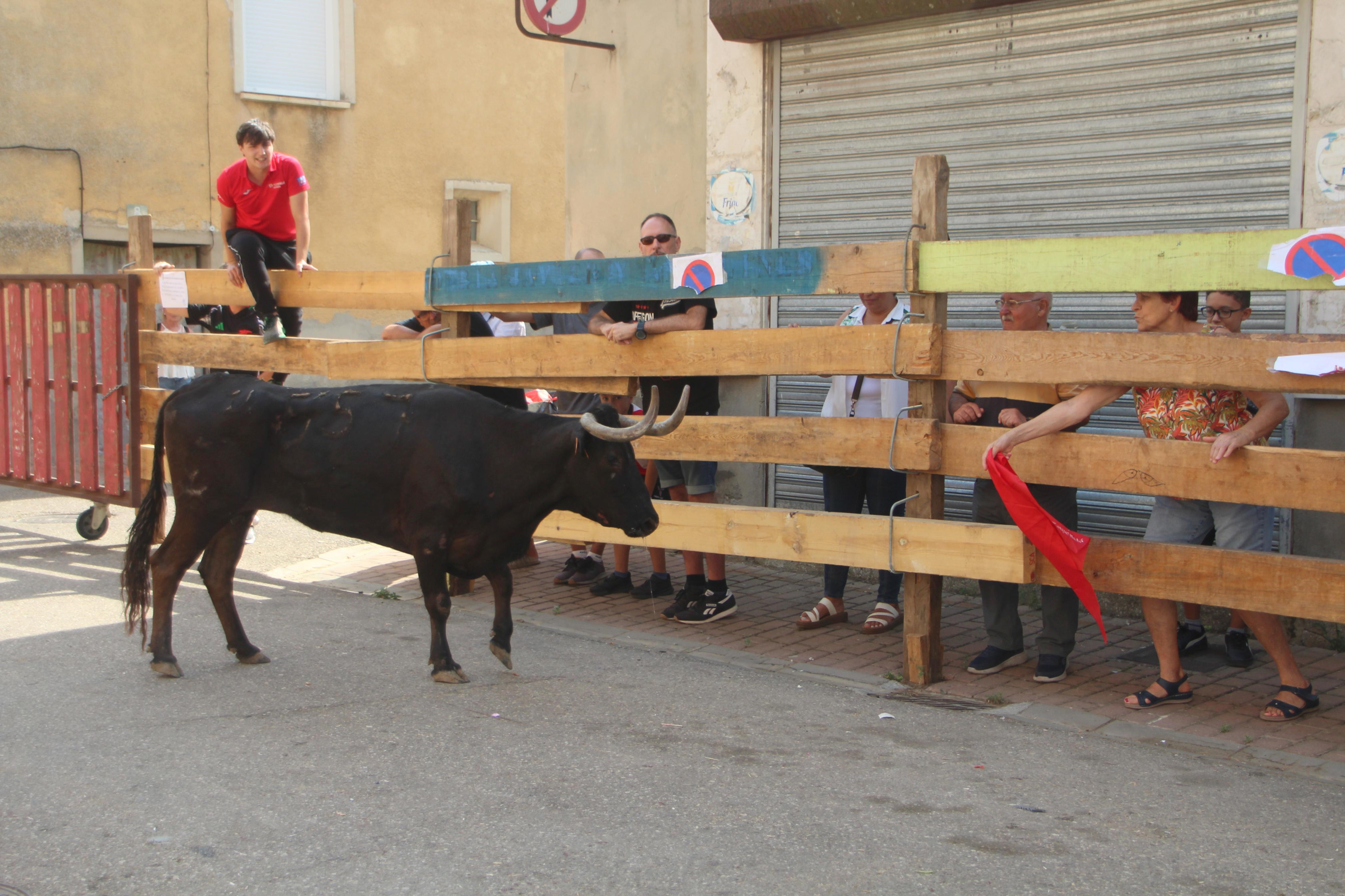 Torquemada disfruta de los Encierros
