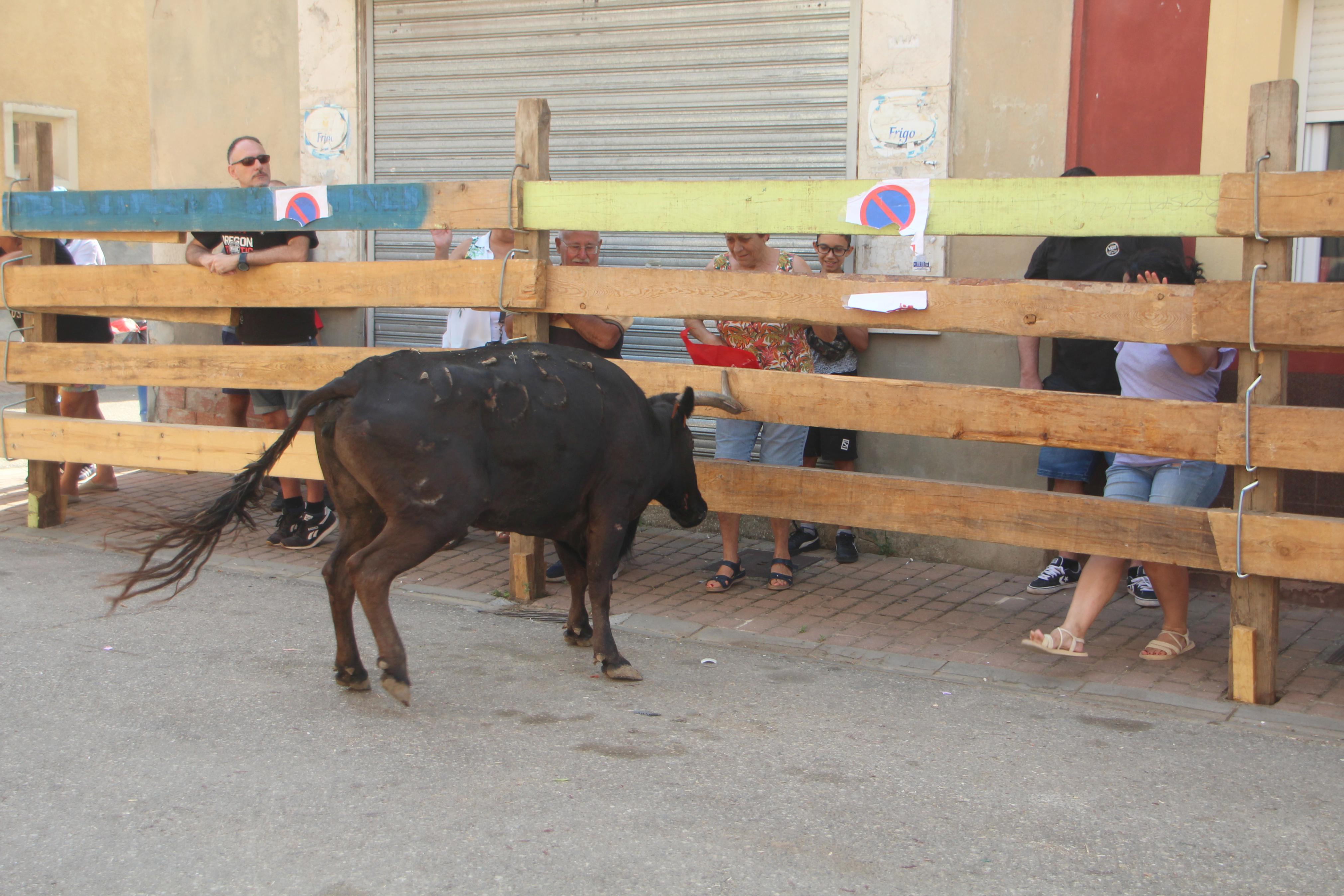 Torquemada disfruta de los Encierros