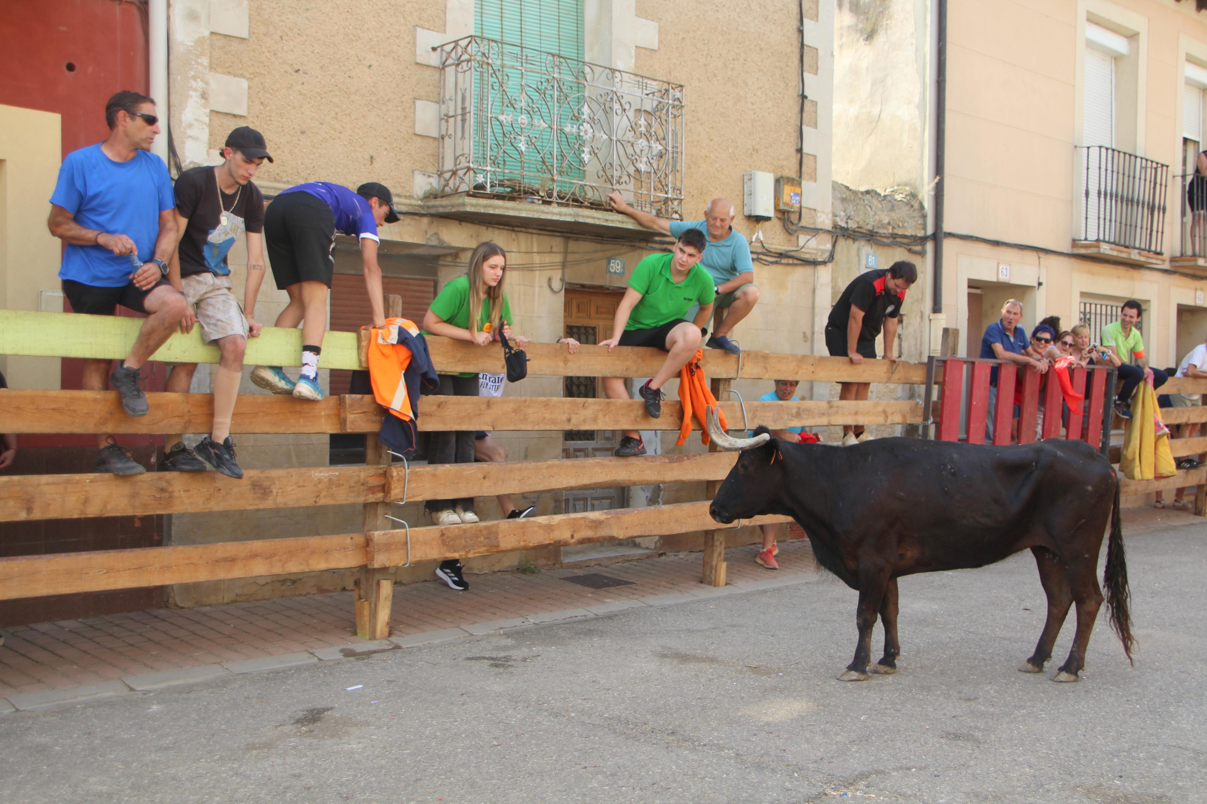 Torquemada disfruta de los Encierros