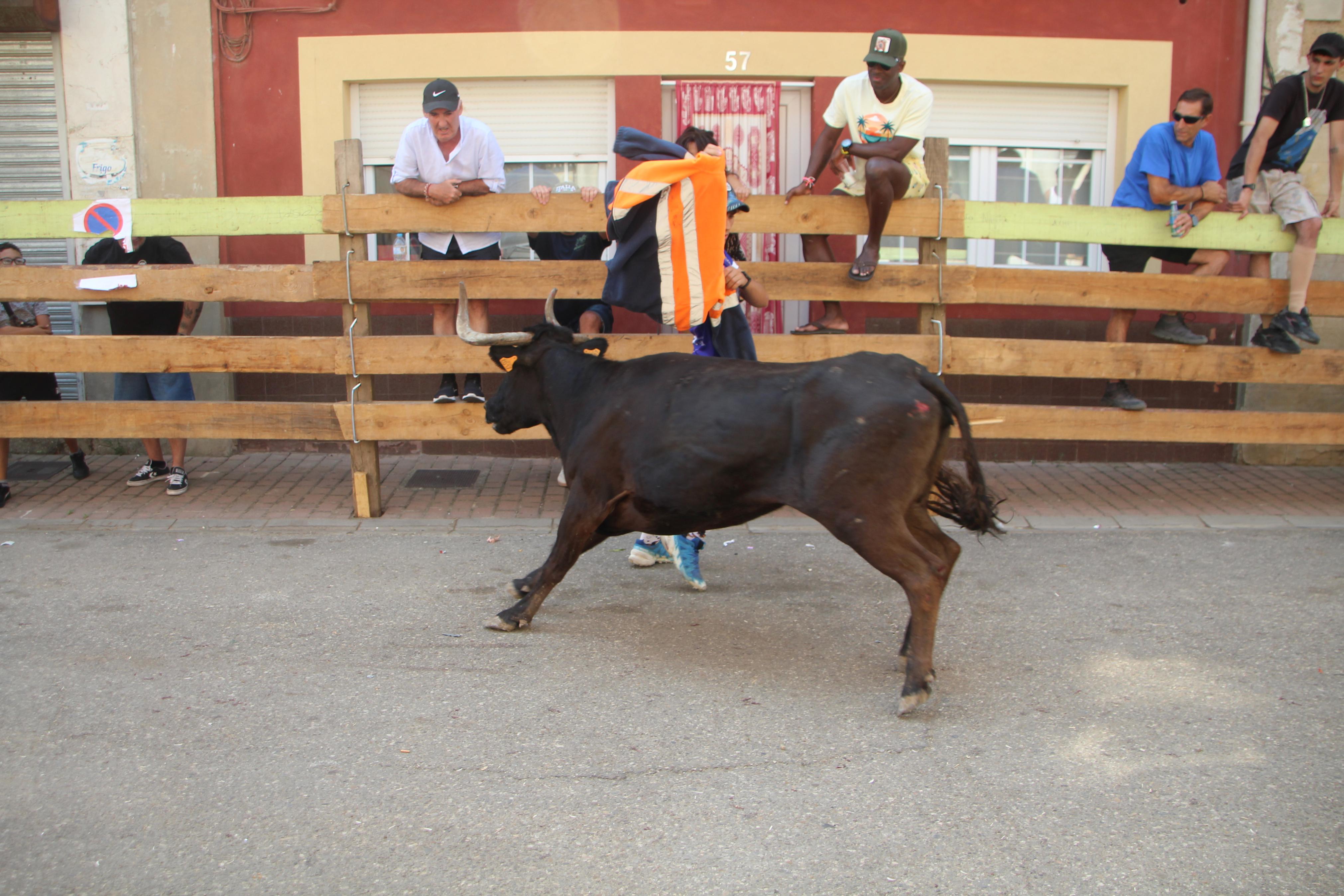 Torquemada disfruta de los Encierros