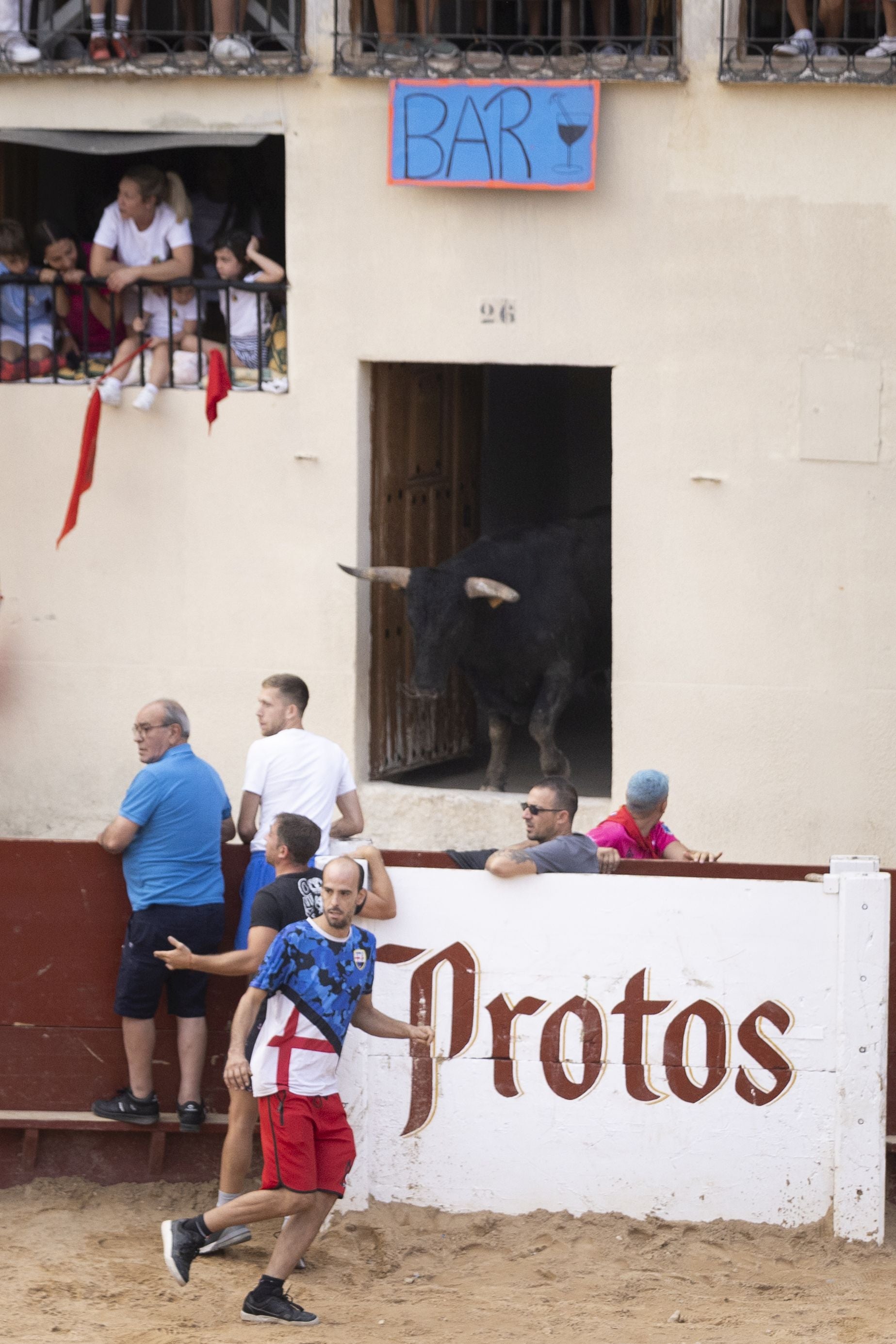 Encierro y capea del domingo en las fiestas de Peñafiel