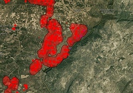 Situación de los incendios de Portugal próximos a Mieza (Salamanca) este domingo desde el satélite Copernicus.