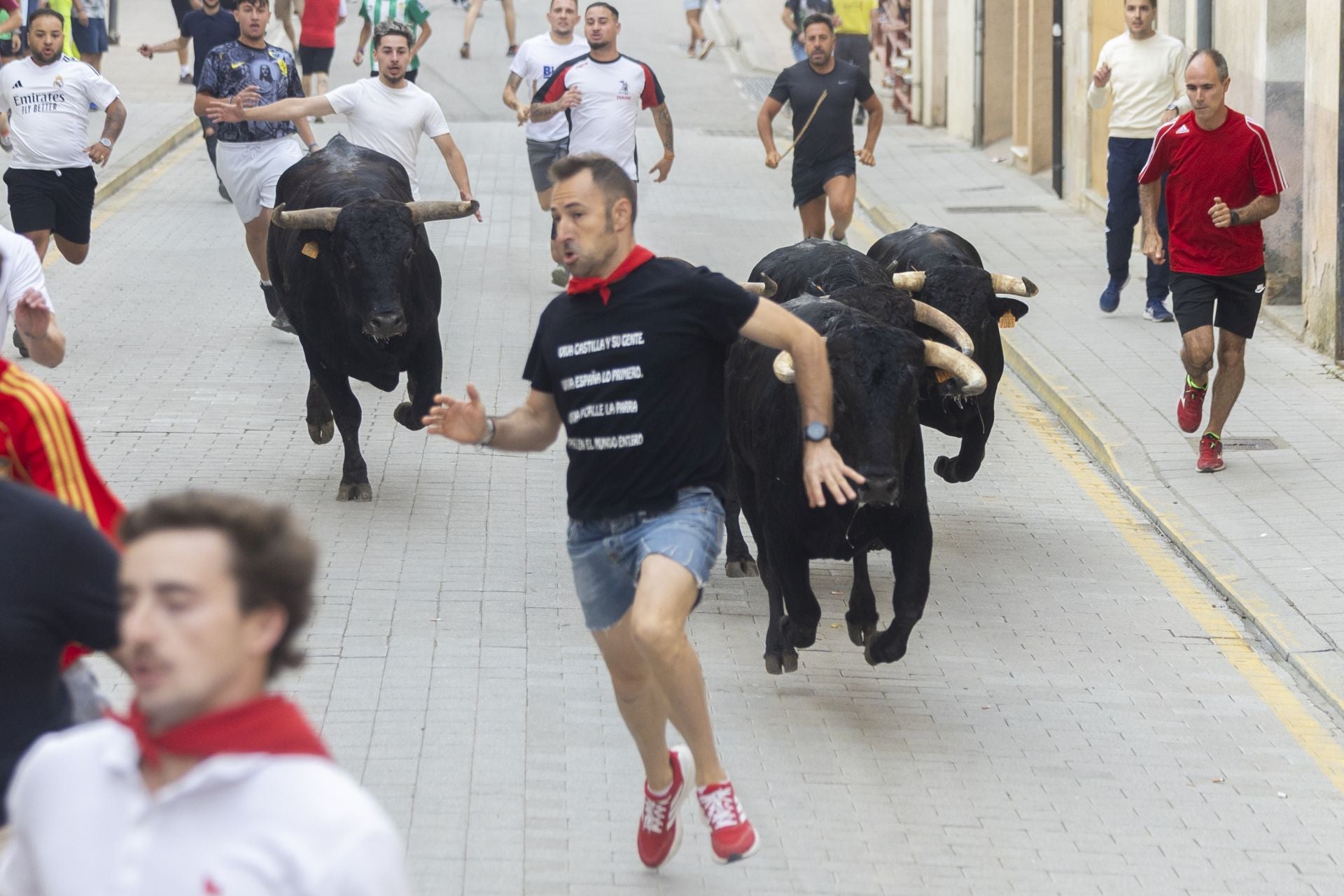 El último encierro de Peñafiel, en imágenes