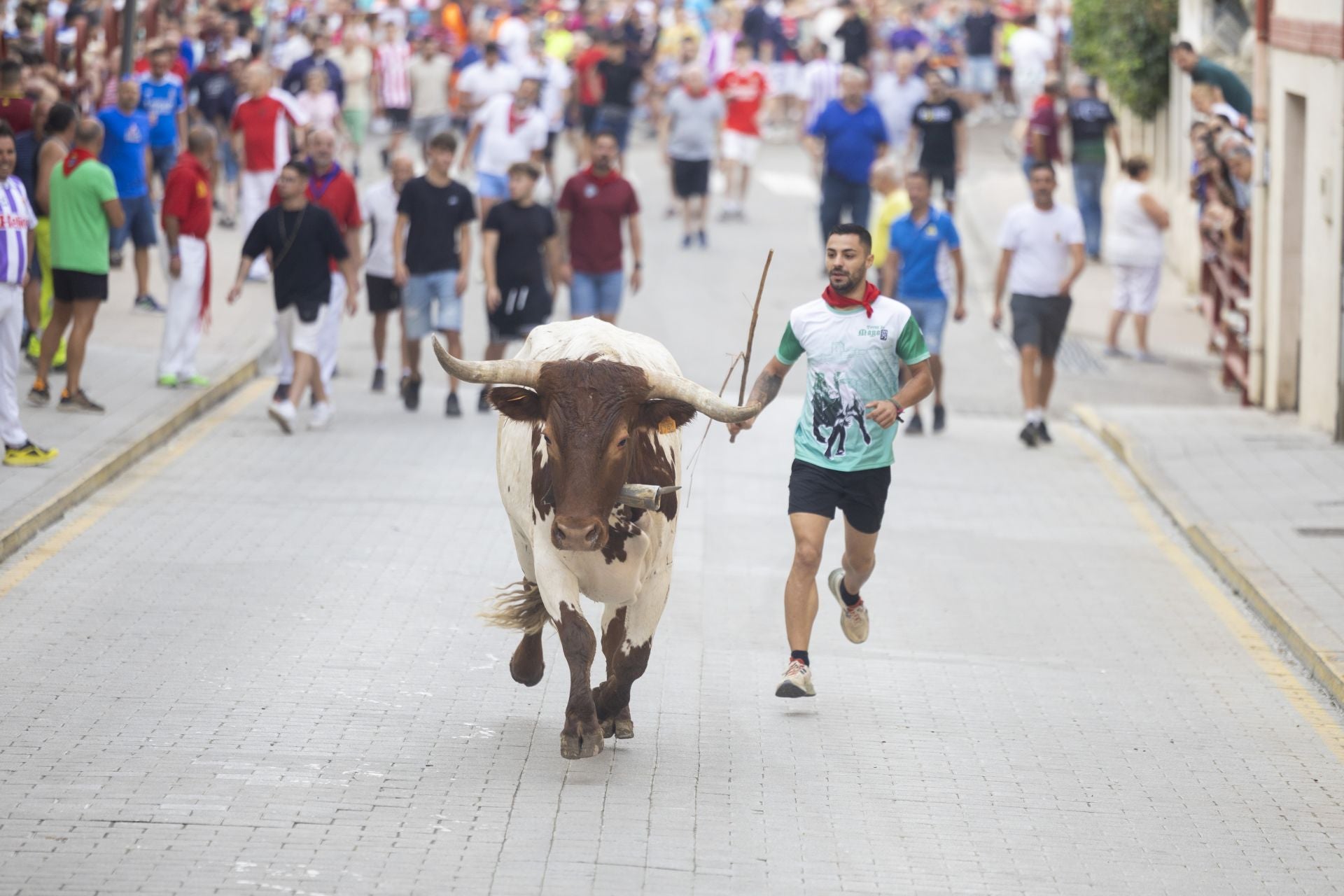 El último encierro de Peñafiel, en imágenes