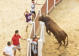 El cuarto encierro de las fiestas de Peñafiel