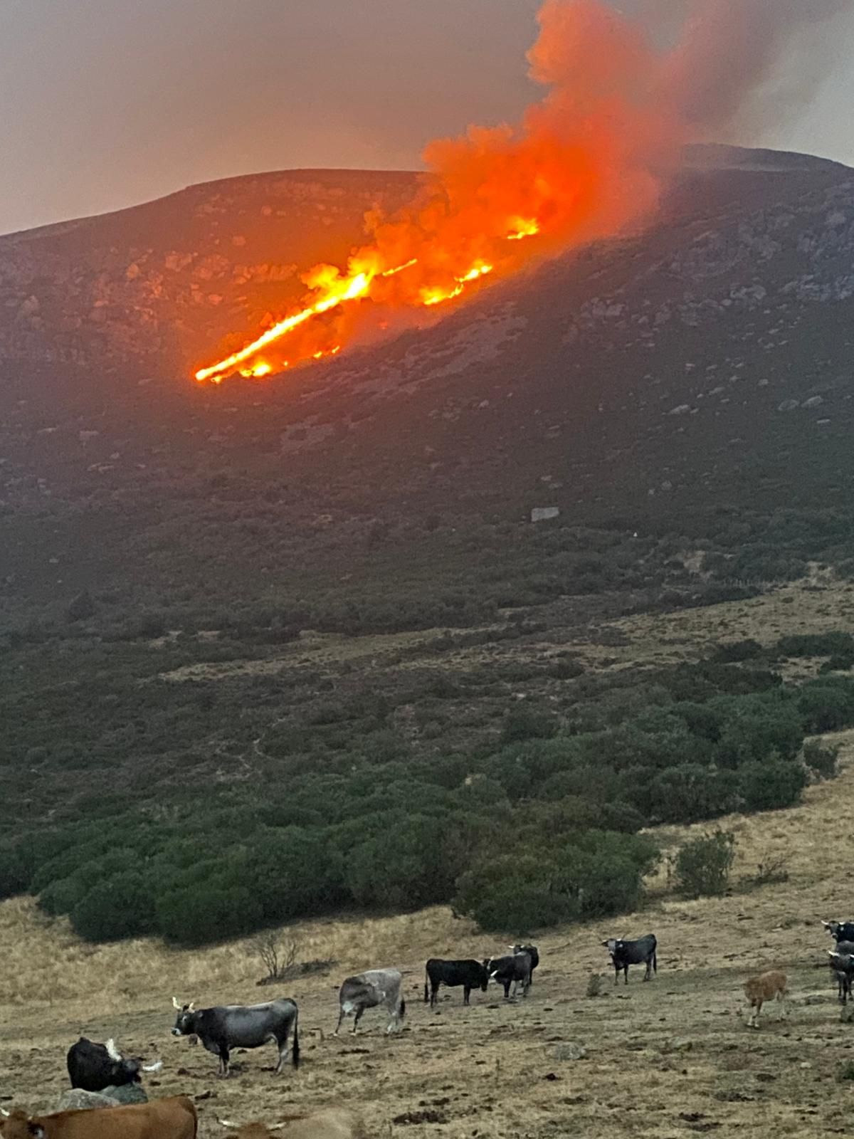 Así se ve la zona del Golobar tras el incendio por un rayo