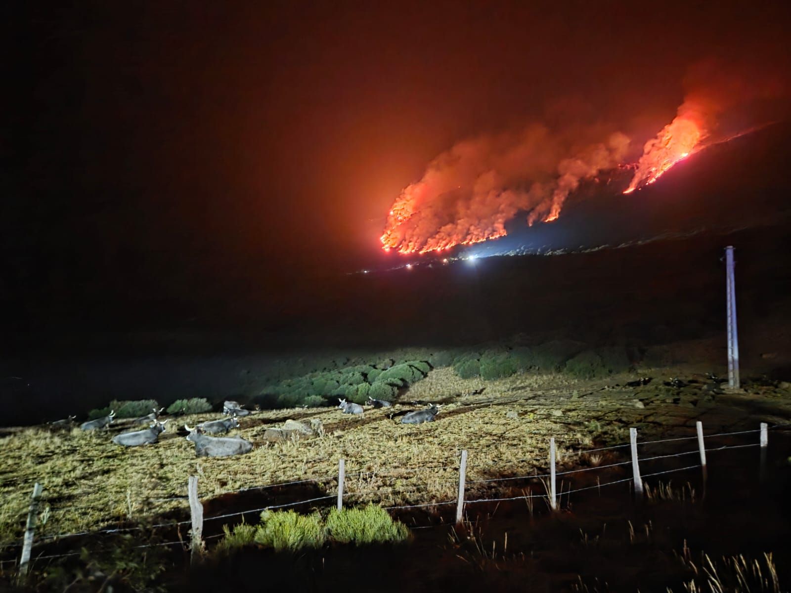 Así se ve la zona del Golobar tras el incendio por un rayo