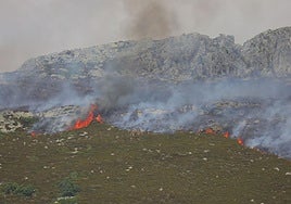 Fuego en la zona de Peña Carazo por el incendio de Resoba.