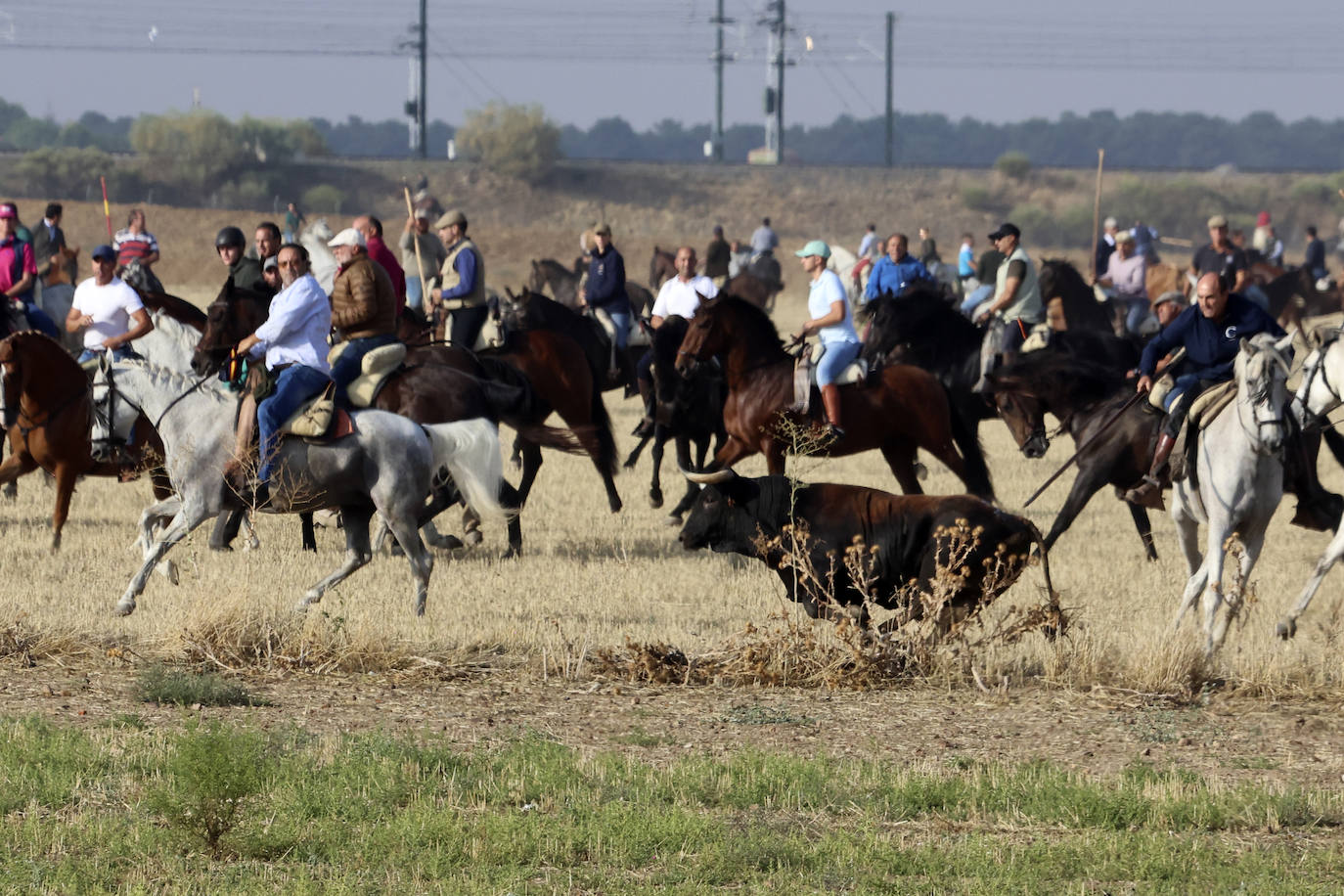 Los encierros tradicionales son uno de sus festejos más reconocidos... ¿Sabes de qué localidad se trata?