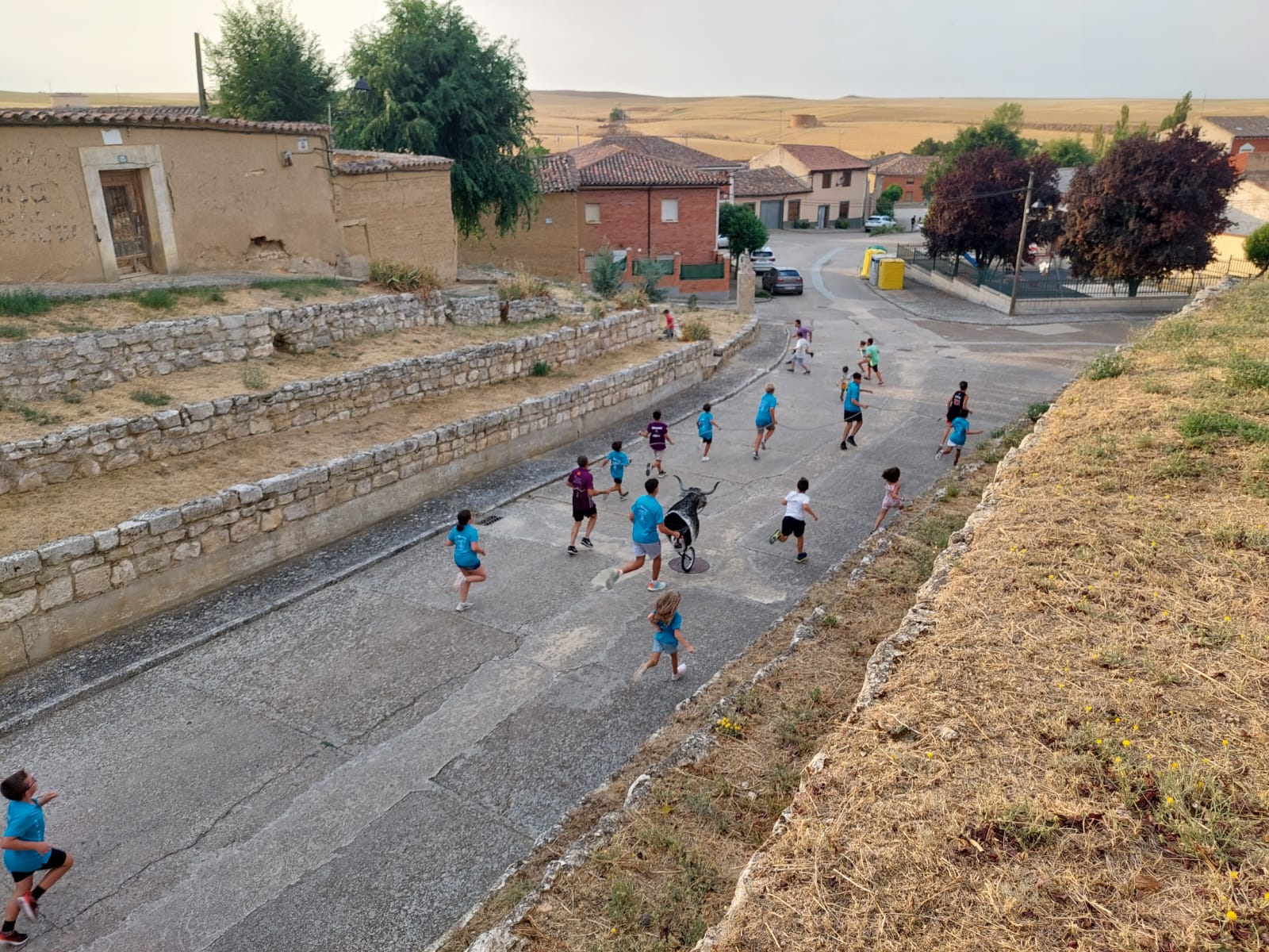 Un juego llamado vaca enmaromada