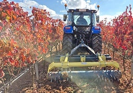 Castilla y León es la cuarta comunidad con más ocupados en el sector agroganadero
