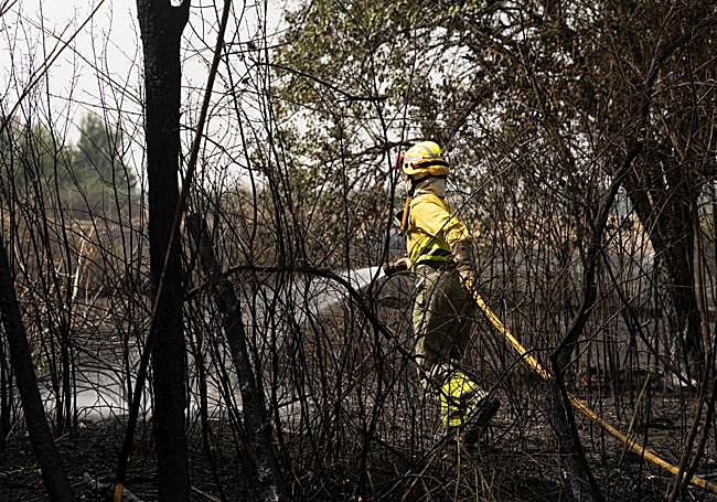 Control de las llamas en el incendio de Canalejas.