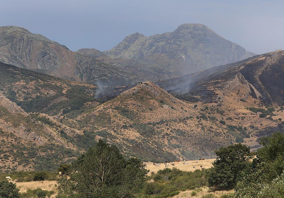 Vista del fuego en la Montaña Palentina, el pasado día 13 desde Polentinos.