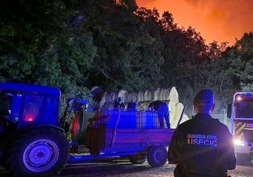 Fotografía del incendio en Moncabril, Zamora.