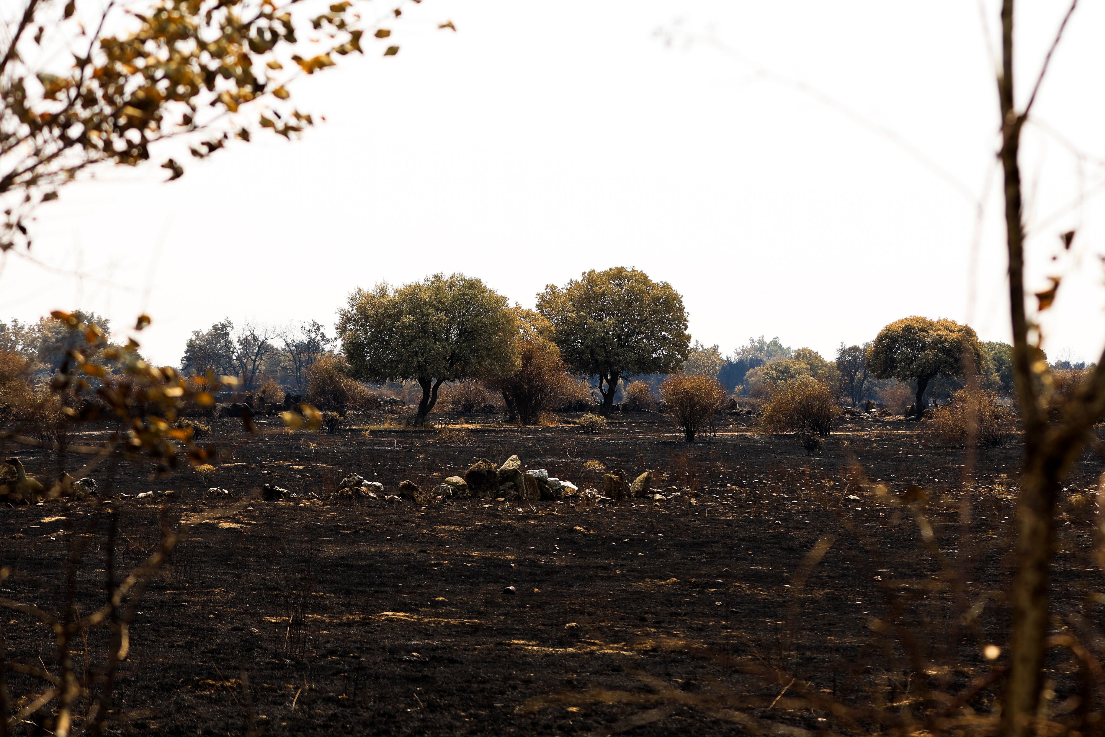 Las imágenes del mayor incendio en la provincia de Salamanca