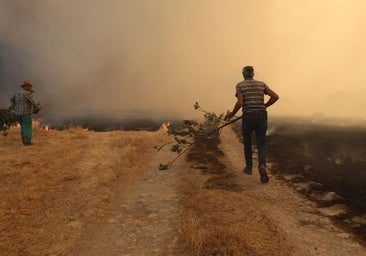 Contudente desmentido de Sanidad: no ha fallecido nadie en Salamanca por humo de los incendios