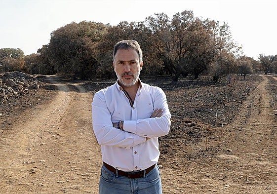 Asier Saiz, decano del Colegio de Ingenieros de Montes de Castilla y León, durante una entrevista en Monte Viejo, Palencia.