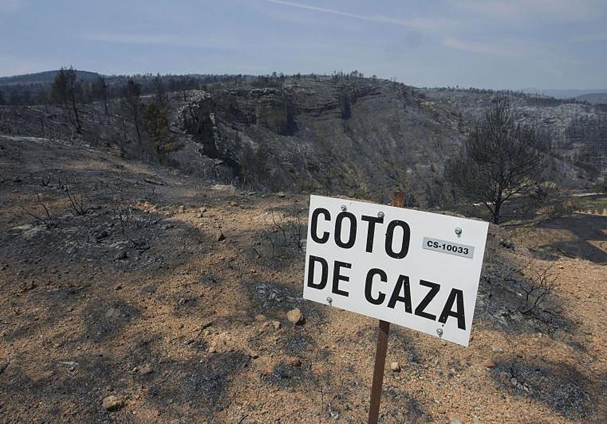Coto de caza arrasado por un incendio en Castilla y León en una imagen de archivo.