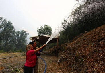 Cómo solicitar las ayudas de la Junta por los incendios: formularios e instrucciones