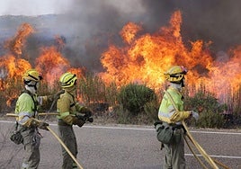 Efectivos de la lucha contra los incendios, en el fuego de Abejera en Zamora.