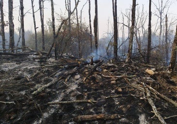 Monte de todos, fuego de nadie